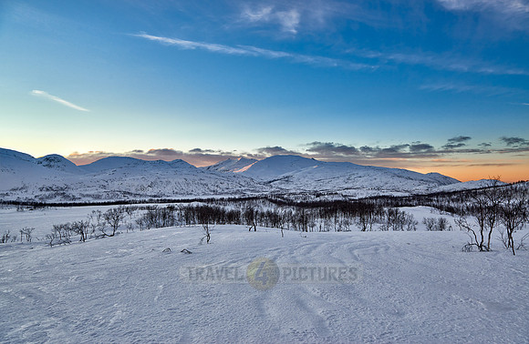 winter landscape of Anderdalen National Park