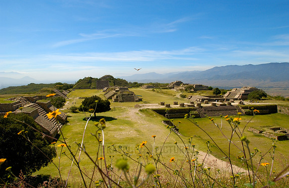 Pyramids of  Monte Alban