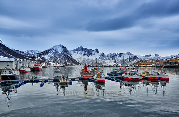 fishing vessels in harbour of Husøy