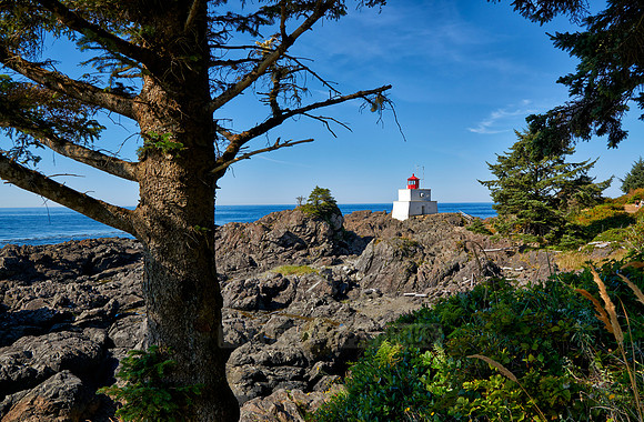 Wild Pacific Trail