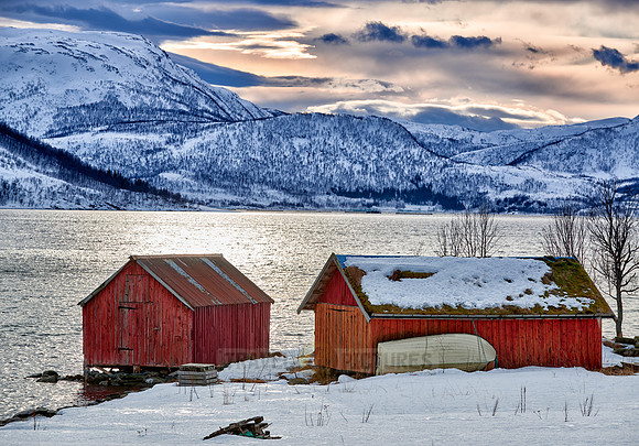winter landscape with typical red house in Senja
