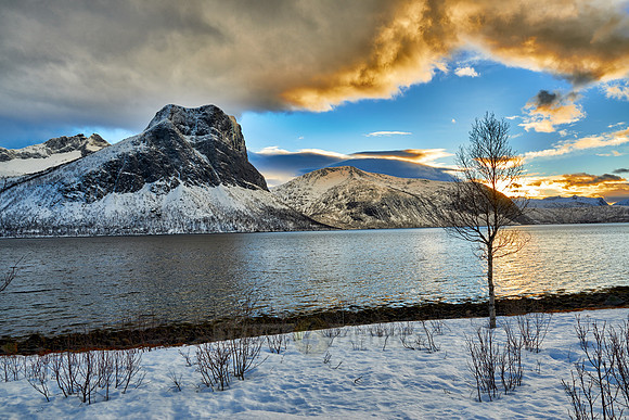 winter landscape of Bergsfjorden