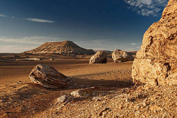 desert landscape
