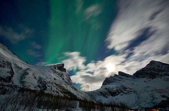 Aurora Borealis or northern lights at Ersfjorden