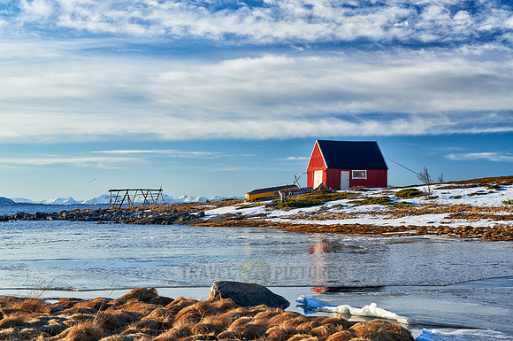 winter landscape with typical red house at Senja shore