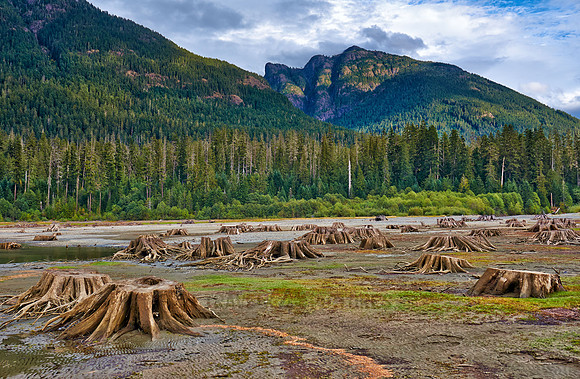 Buttle Lake