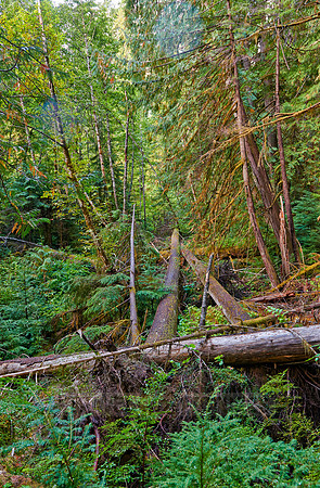 Strathcona Provincial Park