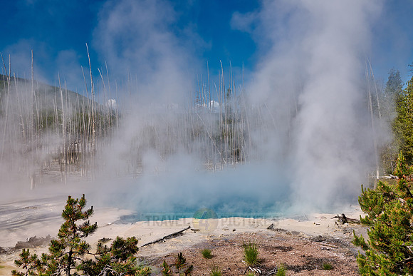 Cistern Spring, Norris Geyser Basin, Yellowstone National Park