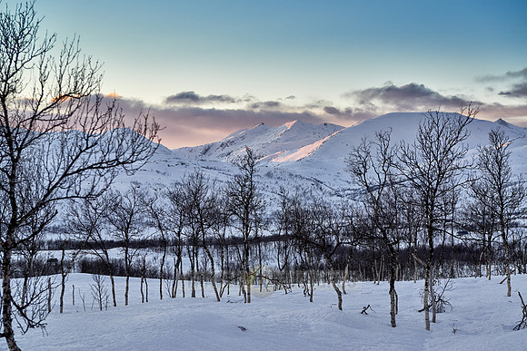 winter landscape of Anderdalen National Park