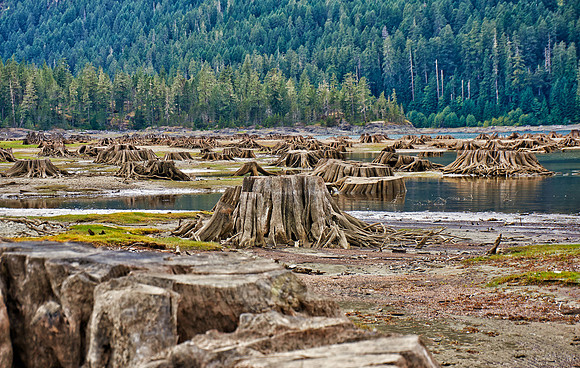 Buttle Lake