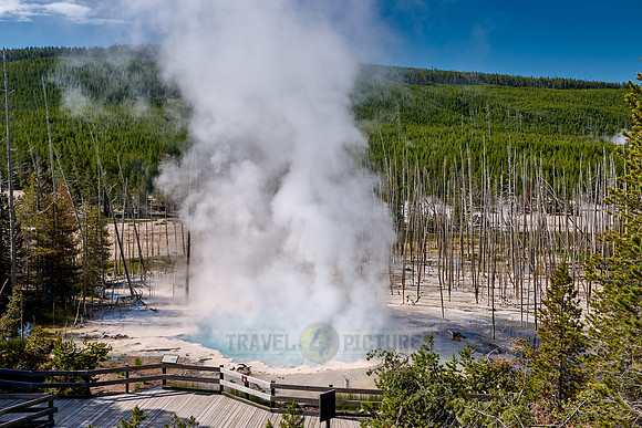 Cistern Spring, Norris Geyser Basin, Yellowstone National Park