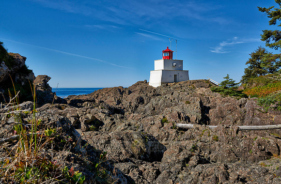 Wild Pacific Trail