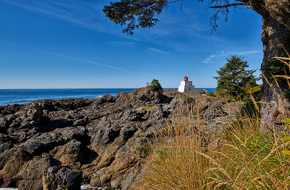 Wild Pacific Trail
