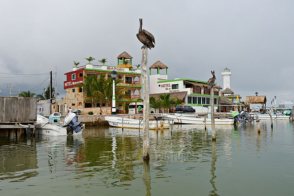 village Rio Lagartos