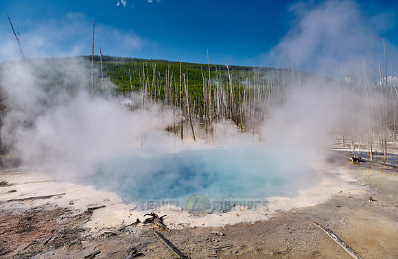 Cistern Spring, Norris Geyser Basin, Yellowstone National Park