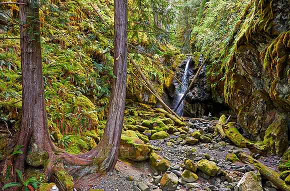 Strathcona Provincial Park