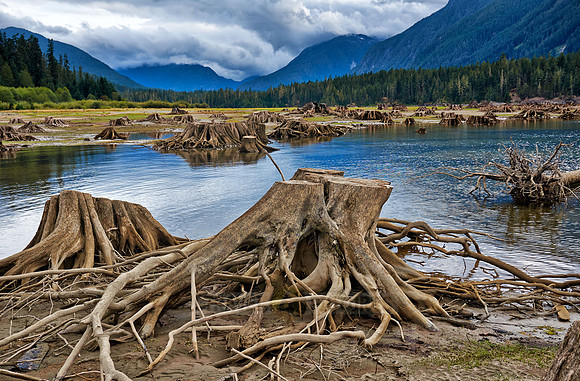 Buttle Lake
