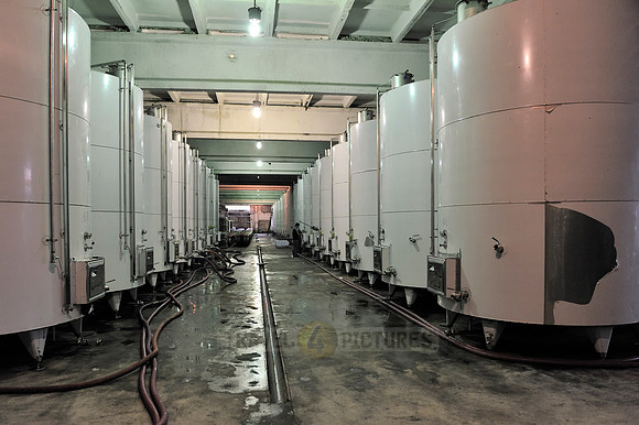 wine cellar