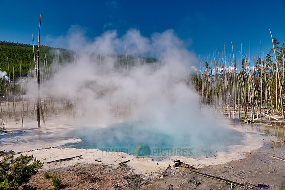 Cistern Spring, Norris Geyser Basin, Yellowstone National Park