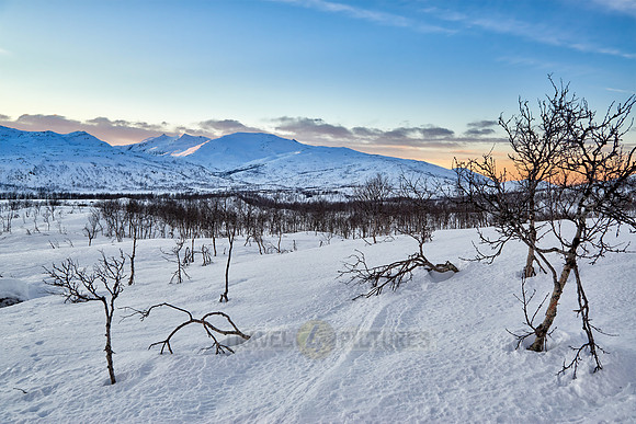 winter landscape of Anderdalen National Park
