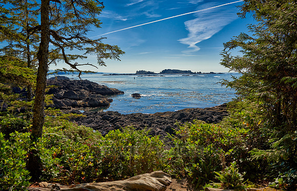Wild Pacific Trail