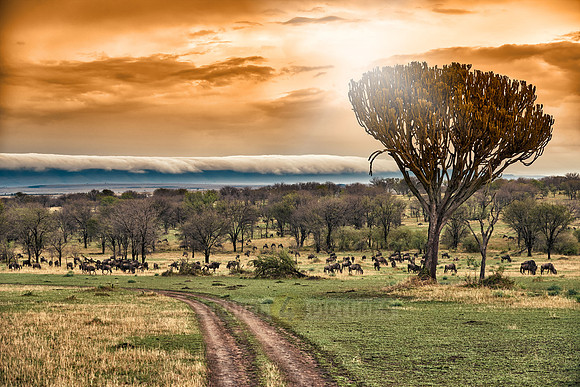 cloud formations over Great Rift Valley