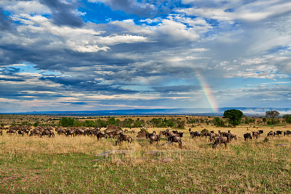 rainbow over Great Rift Valley