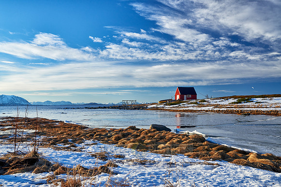 winter landscape with typical red house at Senja shore