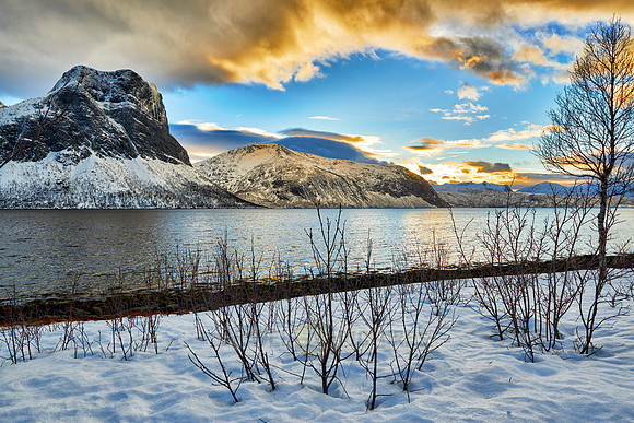 winter landscape of Bergsfjorden