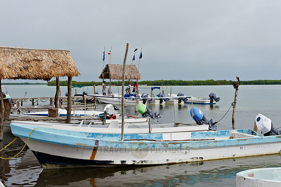 fishing boats at Rio Lagartos