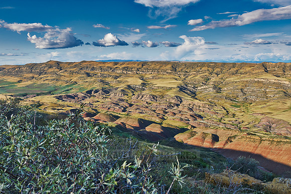 deserted landscape around David Gareja