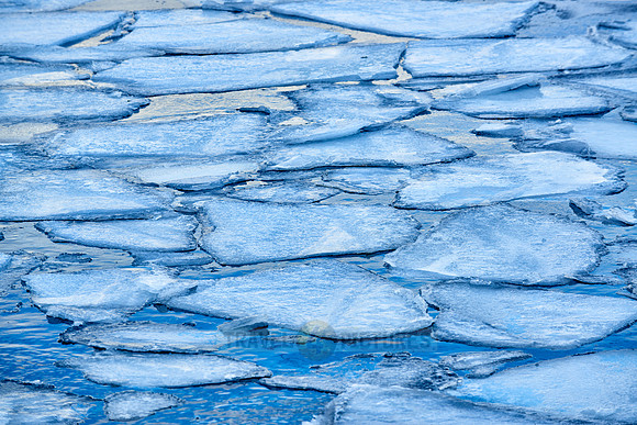river with ice floes in winter landscape on Senja