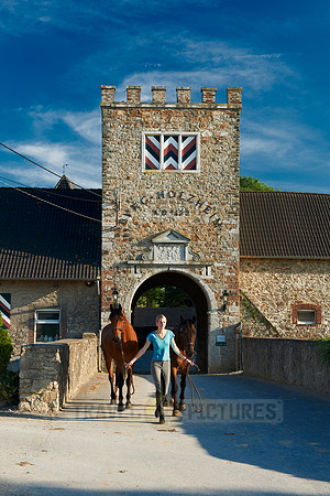 young lady with horses in front of Holzheim castle