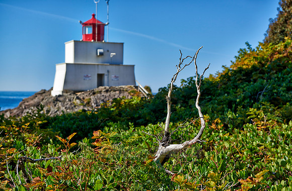 Wild Pacific Trail
