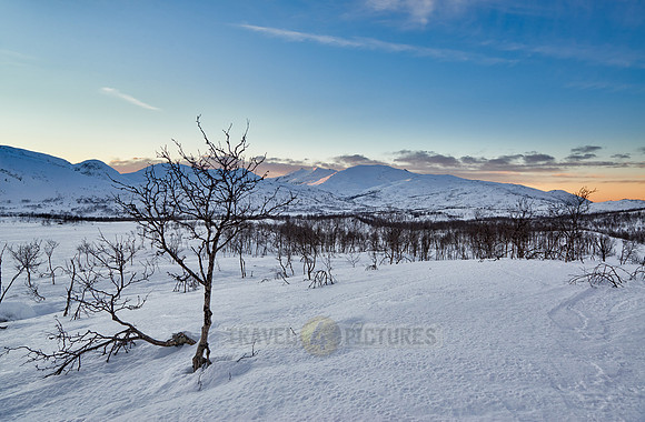 winter landscape of Anderdalen National Park