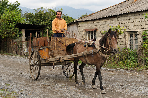 farmer on his horse-drawn carriage