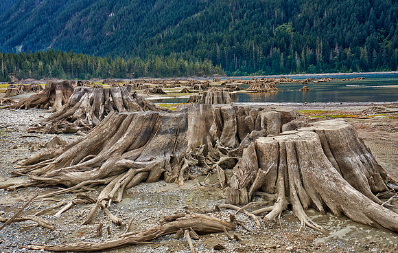 Buttle Lake