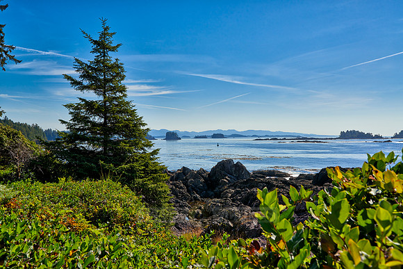 Wild Pacific Trail