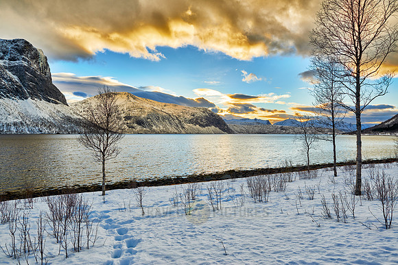 winter landscape of Bergsfjorden
