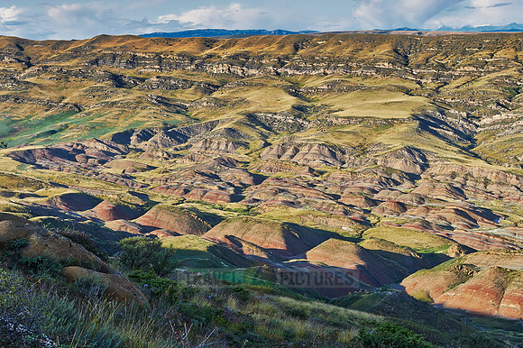 deserted landscape around David Gareja