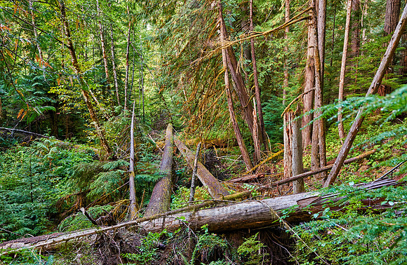 Strathcona Provincial Park