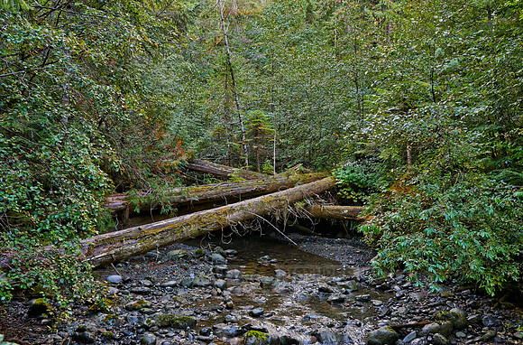 Strathcona Provincial Park