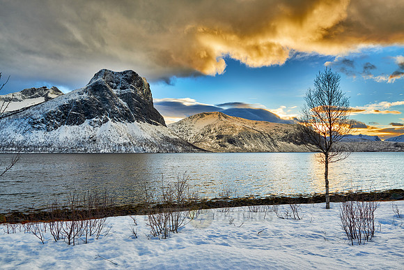 winter landscape of Bergsfjorden