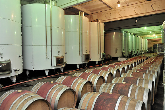wine cellar