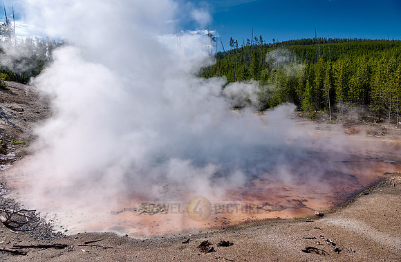 Echinus Geyser, Norris Geyser Basin, Yellowstone National Park