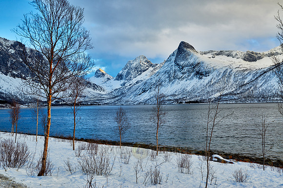 winter landscape of Bergsfjorden