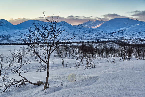 winter landscape of Anderdalen National Park