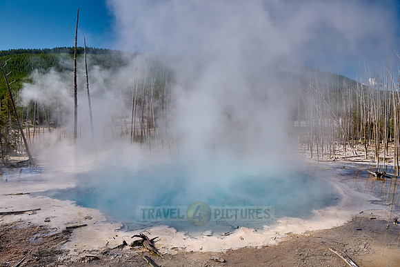 Cistern Spring, Norris Geyser Basin, Yellowstone National Park