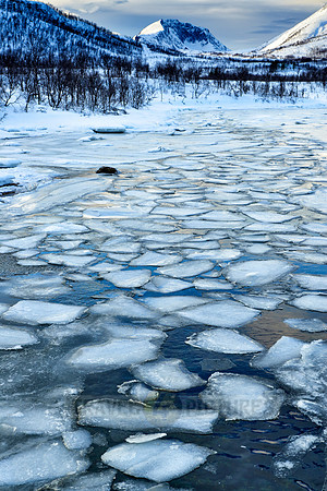 river with ice floes in winter landscape on Senja
