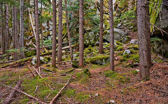 Birkenhead Lake Provincial Park